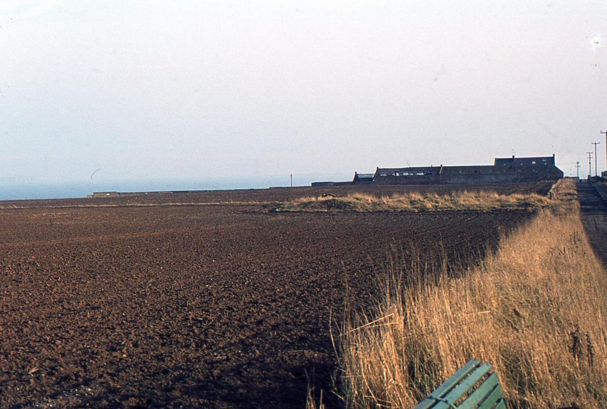 Cellardyke - Windmill Road 2 -  Pre-1965